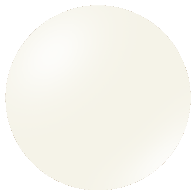 white (RAL9010)